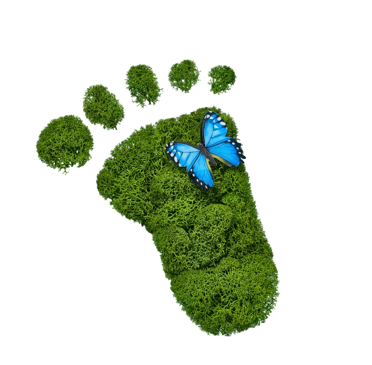Live Active Bio-Enzyme Footprint